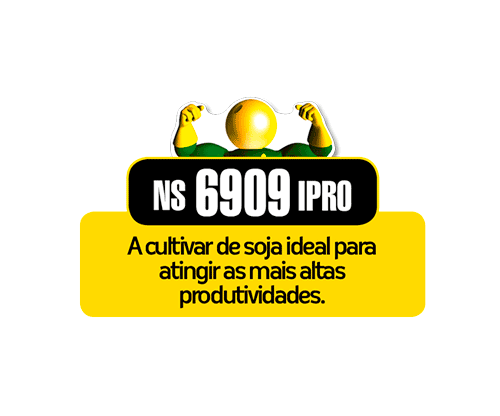 Semente Soja NS6909IPRO P2 TSI-P